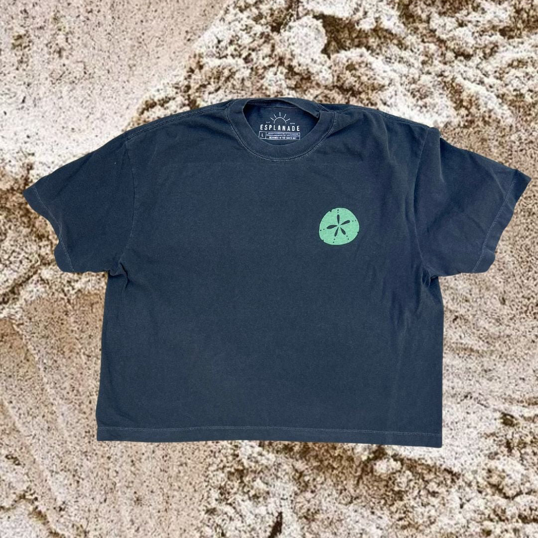 Seashell Collector Crop Tee